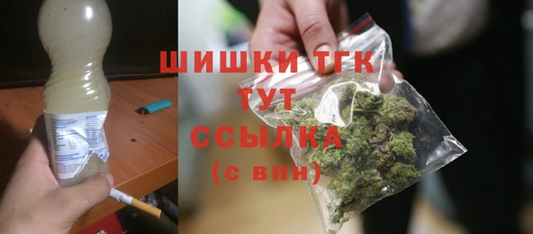 молекула духа Балахна