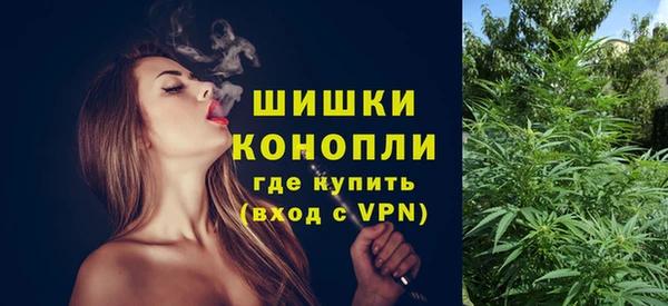 молекула духа Балахна