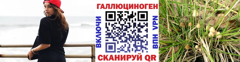 Галлюциногенные грибы мухоморы продажа наркотиков Обь